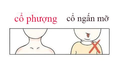 Phụ nữ sở hữu 3 vị trí này trên cơ thể, nếu mập một chút sẽ rất vượng tài