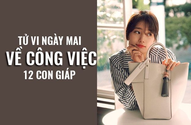 Tử vi ngày mai ngày 5/10 về công việc của 12 con giáp: Tuổi Tuất stress cao độ