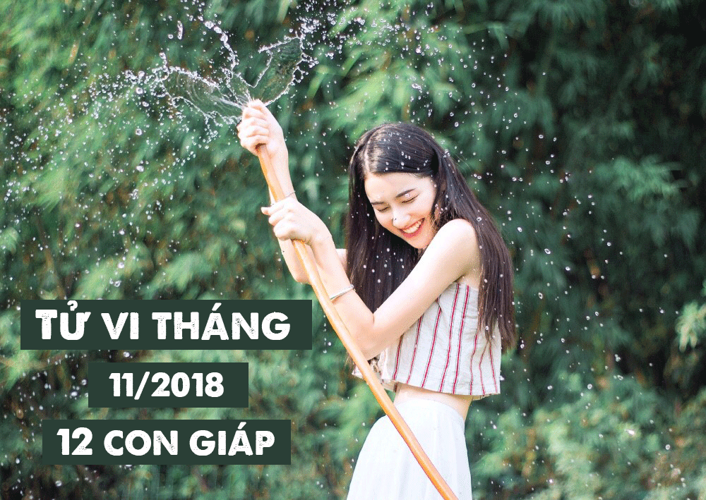 Tử vi tháng 11/2018 chi tiết của 12 con giáp: Tuổi Thìn trắc trở, tuổi Mùi thu nhập tăng