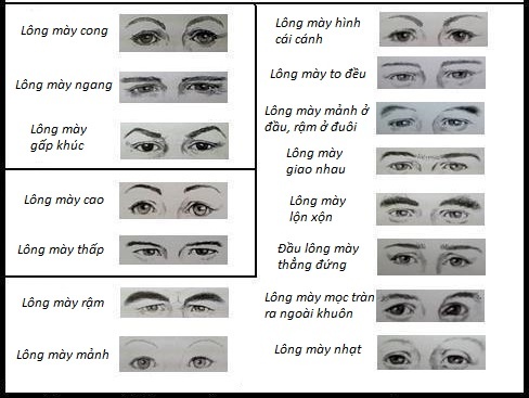 Dáng lông mày nói gì về tính cách của bạn?