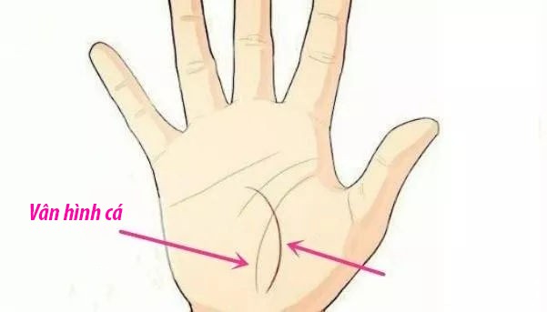 Lòng bàn tay nói lên vận mệnh tương lai, cuộc sống của bạn có giàu sang phú quý hay không chỉ cần nhìn vào đây là thấy rõ