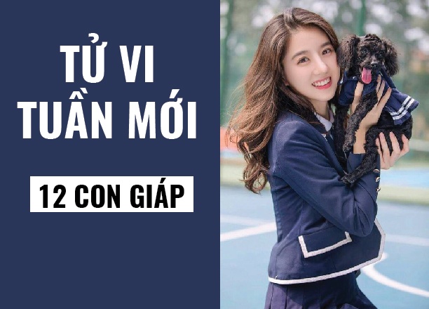 Tử vi tuần mới từ ngày 10/6 đến 16/6/2019 của 12 con giáp: Tuất có điềm báo hoạ huyết quang, Ngọ nhận lộc...