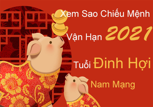 Xem sao chiếu mệnh vận hạn năm 2021 cho tuổi Đinh Hợi 2007 nam mạng