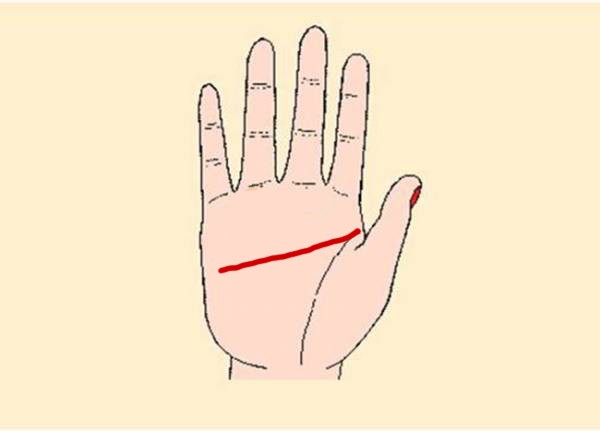 Từ đường chỉ tay nhận ra tính cách và khả năng công việc của bạn