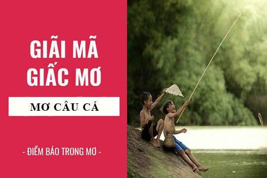 Giải mã giấc mơ: Nằm mơ thấy câu cá điềm báo gì, lành hay dữ? con số liên quan