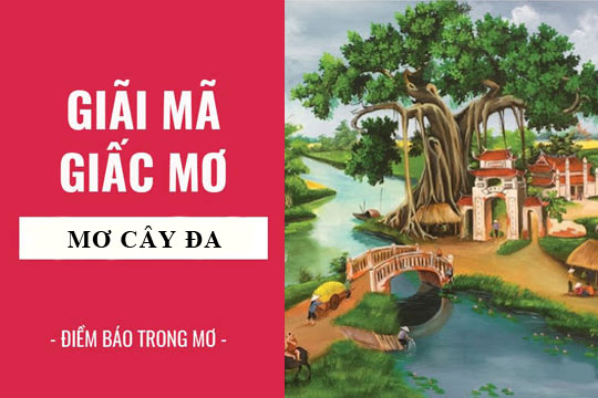 Giải mã giấc mơ: Nằm mơ thấy cái giếng nước điềm báo gì, lành hay dữ? con số liên quan