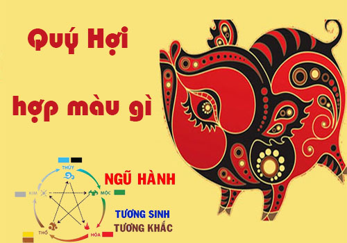 Tuổi Quý Hợi hợp màu gì, kỵ màu gì theo phong thủy?