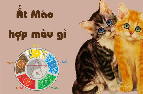 Tuổi Ất Mão hợp màu gì, kỵ màu gì theo phong thủy?