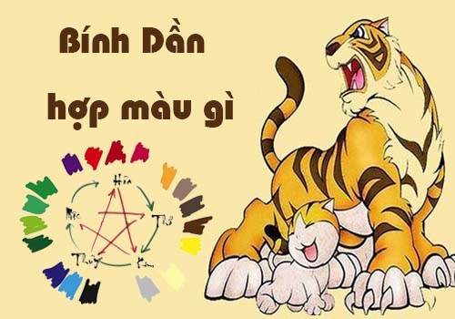 Tuổi Bính Dần hợp màu gì, kỵ màu gì theo phong thủy?