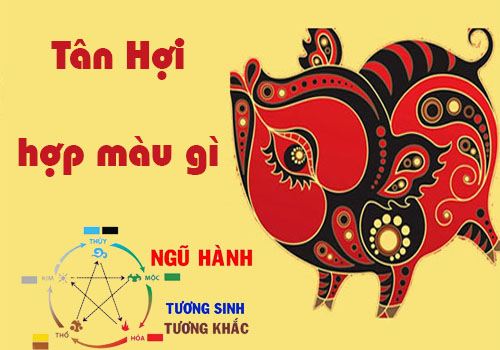 Tuổi Tân Hợi hợp màu gì, kỵ màu gì theo phong thủy?