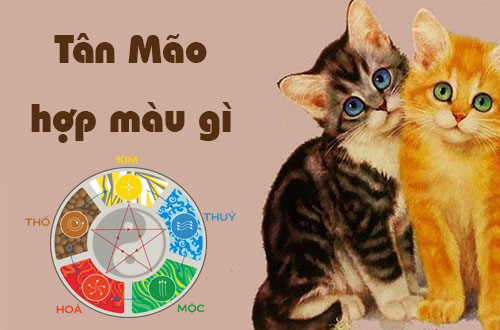 Tuổi Tân Mão hợp màu gì, kỵ màu gì theo phong thủy?