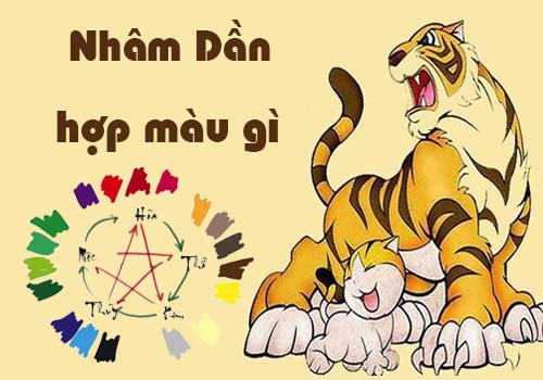 Tuổi Nhâm Dần hợp màu gì, kỵ màu gì theo phong thủy?