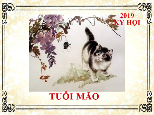 Xem tử vi năm 2019 tuổi Mão: Hợi Mão Mùi tam hợp, vận quý nhân hưng thịnh