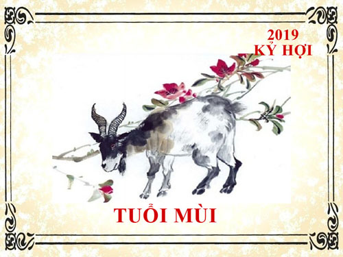 Xem tử vi năm 2019  tuổi Mùi: Vận khí hanh thông, may mắn hơn người