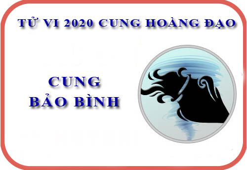 Tử vi cung Bảo Bình năm 2020: Thành công về tài chính và giao thiệp