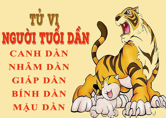 Tử vi trọn đời tuổi Dần: Tổng quan vận mệnh và cuộc đời