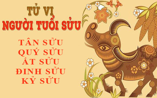 Tử vi trọn đời tuổi Sửu: Tổng quan vận mệnh và cuộc đời