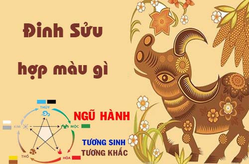 Chọn màu hợp phong thủy tuổi Đinh Sửu