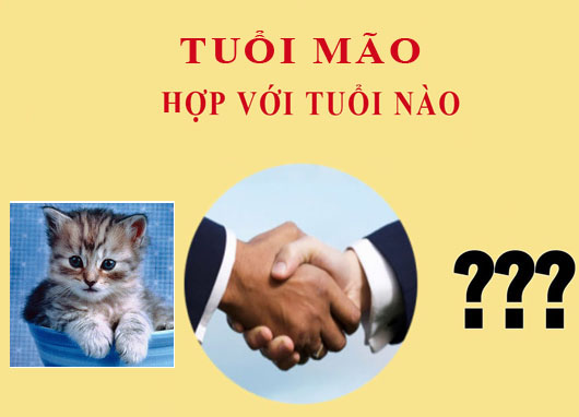 Tuổi Mão hợp với tuổi nào?