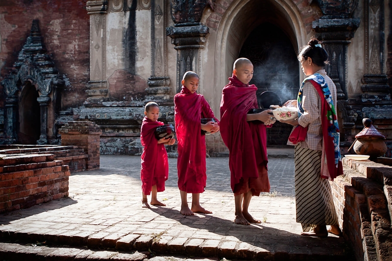 Chó chuyển sinh thành công chúa bởi từng kính ngưỡng người tu hành tăng nhân, luân hồi, đầu thai chuyển kiếp,
