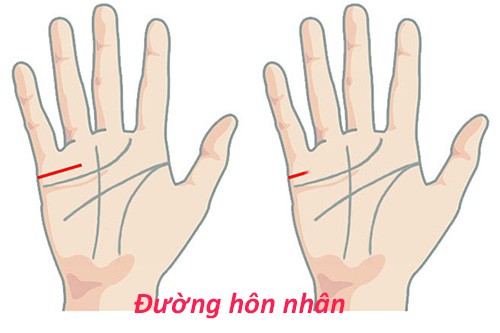 Đưa tay lên và soi những đường chỉ nhỏ xíu này xem, bạn sẽ có câu trả lời về cuộc sống hôn nhân của mình bây giờ và mai sau - Ảnh 2.
