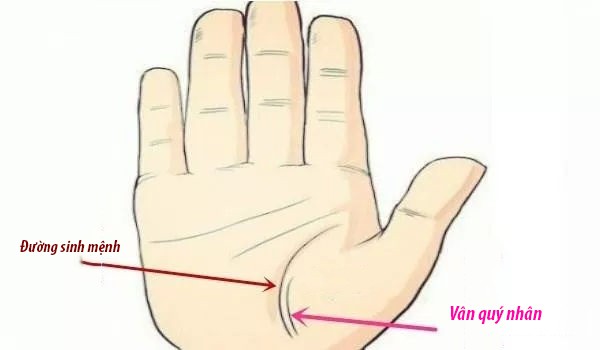 Lòng bàn tay nói lên vận mệnh tương lai, cuộc sống của bạn có giàu sang phú quý hay không chỉ cần nhìn vào đây là thấy rõ - Ảnh 2.