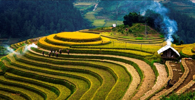 du-lich-ha-giang-mua-lua-chin_1471935706