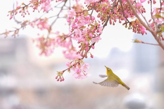 tu-vi-8-4-2019-phunutoday-4