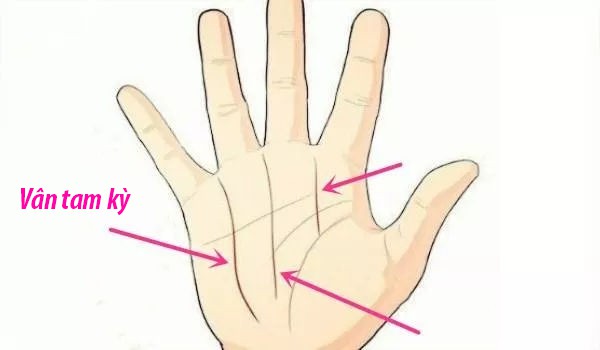 Lòng bàn tay nói lên vận mệnh tương lai, cuộc sống của bạn có giàu sang phú quý hay không chỉ cần nhìn vào đây là thấy rõ - Ảnh 3.