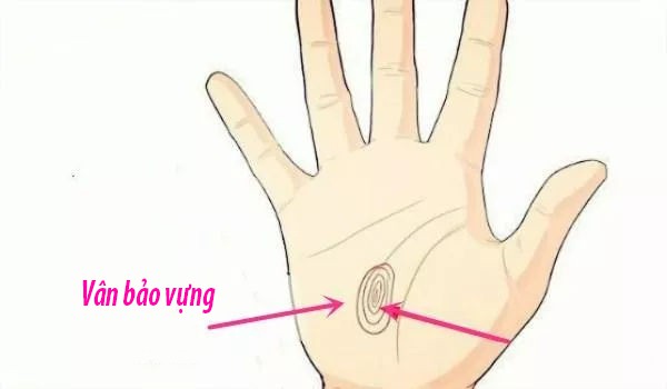 Lòng bàn tay nói lên vận mệnh tương lai, cuộc sống của bạn có giàu sang phú quý hay không chỉ cần nhìn vào đây là thấy rõ - Ảnh 4.