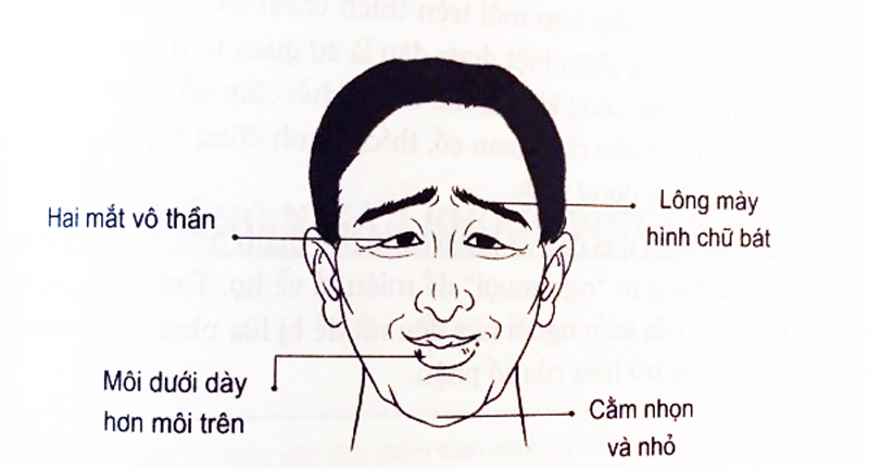 tướng mạo, trăng hoa, đàn ông, 